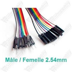 10xJumper Cable DuPont qualité mâle/femelle 10cm 2.54mm